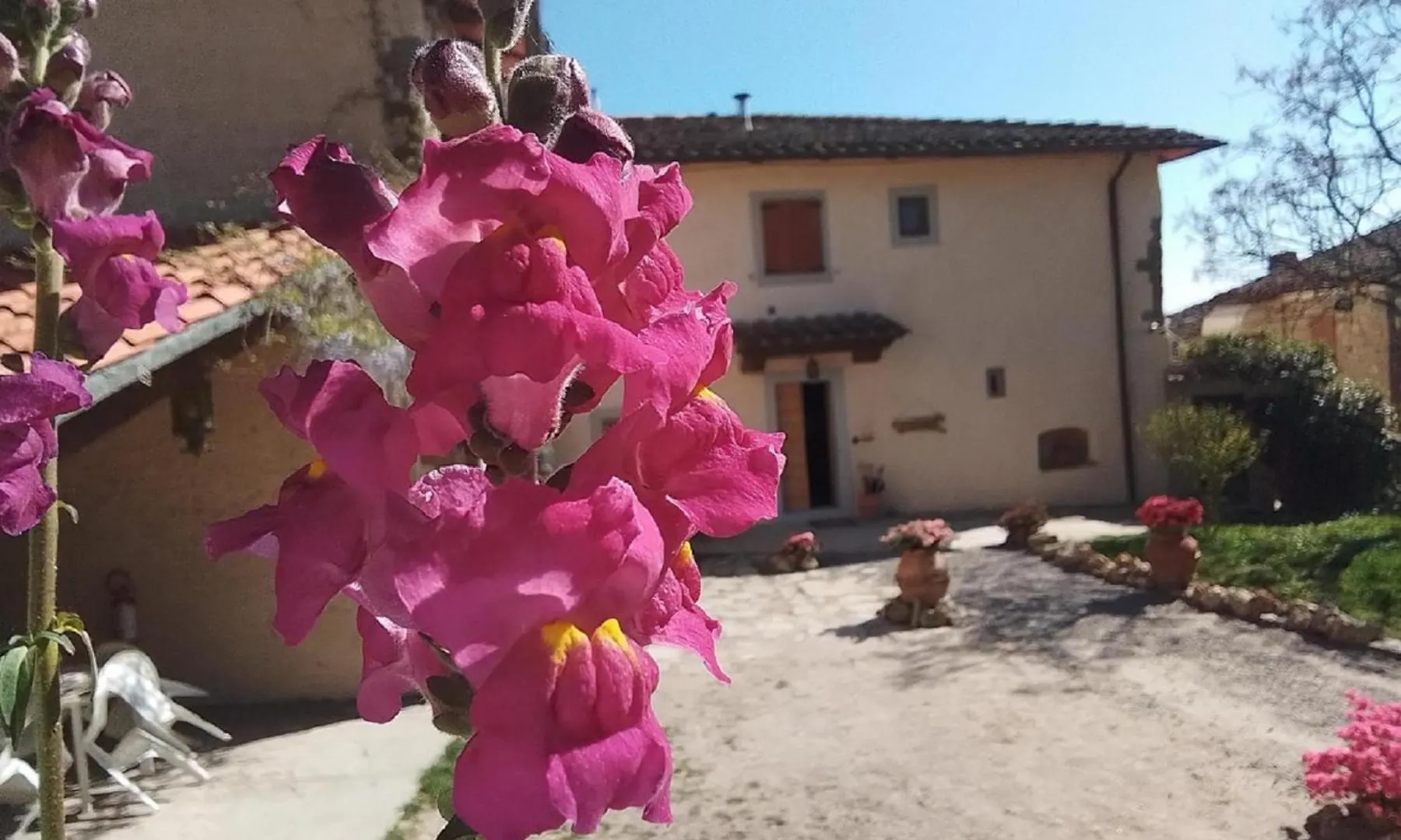Casa Vacanze Podere Ugolini Apartment Ronta Italy